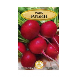 Семена Редис