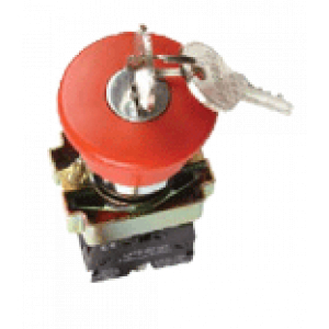 Кнопка LAY5-BS142 "Грибок" с ключем d22/240B